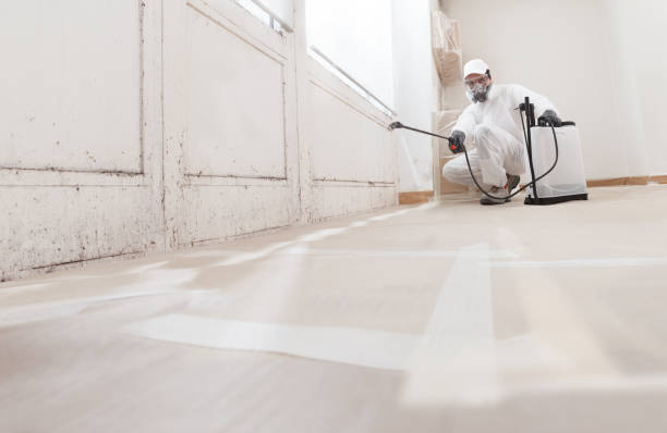 24/7 Emergency Mold Removal experts in Denville, NJ